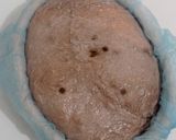 Foto langkah ke 17 dari resep Double Chocolate Sourdough Bread (86%).