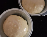 Foto del paso 5 de la receta: 🍕Masa de pizza con masa madre 🍕