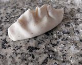 Foto del paso 8 de la receta: Gyozas sin gluten de ternera y verduras