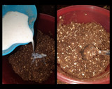 Foto del paso 2 de la receta: Galletitas /Tapitas de Avena y Cacao