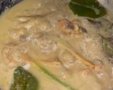 Foto langkah ke 8 dari resep Opor Ayam.