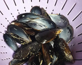 Foto del paso 8 de la receta: Mejillones "tigres"