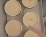 A picture of step 12 of Mango-Coconut Kulfi.