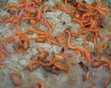 A picture of step 9 of Afghani pulao.