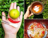 Hình bước làm 1 của món Mắm chay