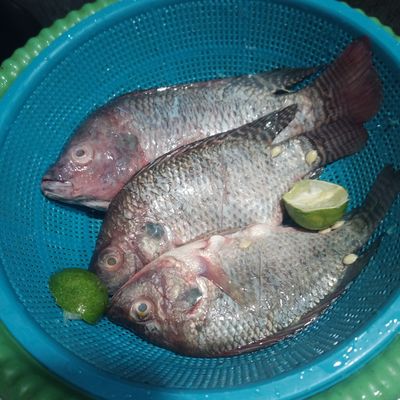 Langkah 1