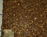 Foto del paso 7 de la receta: Turrón de Quaker