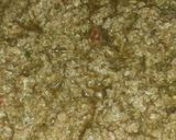 Foto del paso 4 de la receta: Pastelón de plátano de maduro