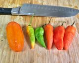 Foto del paso 3 de la receta: Seco de Costilla