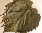 A picture of step 1 of Dolmas / Dolmades (Stuffed Grape Leaves).
