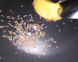 A picture of step 1 of Beans Pulao.