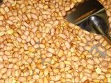 Coklat Kacang Cup Mix Springkle #BikinRamadanBerkesan