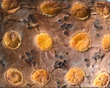 Foto del paso 15 de la receta: Bizcocho de naranjas