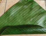Foto langkah ke 4 dari resep Lemper Abon Ayam.