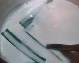 Foto langkah ke 6 dari resep Cendol Buah Naga.