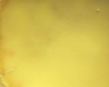 Foto langkah ke 7 dari resep Pie susu teflon egg tart mudah simple pasti jadi.