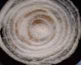 A picture of step 4 of Masala dosa.