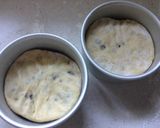 Foto del paso 10 de la receta Panettone clásico