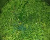 A picture of step 3 of Rainbow Zarda✨🌈✨.