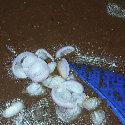 Langkah 5