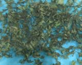 A picture of step 7 of Dry Mint.