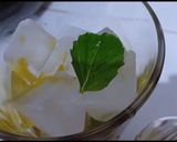Foto langkah ke 4 dari resep Summer mojito orange.