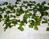 A picture of step 4 of Dried Mint Leaves.