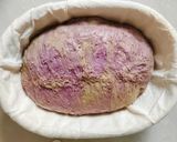 Foto langkah ke 18 dari resep Green Tea Taro Sourdough Bread.