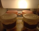 Foto del paso 5 de la receta: 305. Postre de yogur y kiwi