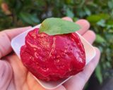 Une image de l'étape 9 de Sorbet framboise.