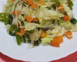 વેજીટેબલ સલાડ(vegetable salad recipe in gujarati) રેસીપી સ્ટેપ2ફોટો