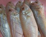 Foto langkah ke 1 dari resep Ikan goreng renyah🐟.