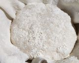 Foto del paso 6 de la receta: Hogaza de pan italiano