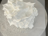 Pavlova
