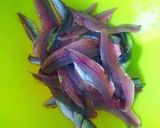 Foto del paso 1 de la receta: Tajine de boquerones con pencas de coliflor y habas tiernas