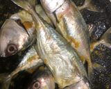 Foto langkah ke 3 dari resep Ikan Goreng Ikan Laut Ikan Kerapu Ikan kembung Bumbu Marinasi.