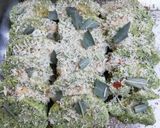 Foto del passaggio 5 della ricetta Gnocchi alla romana verdi