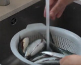 Foto del paso 4 de la receta: Cómo limpiar sardinas para freír