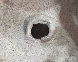 Foto del paso 2 de la receta: Sombrero de nachos “Mi villano favorito 2”