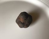 Foto del paso 3 de la receta: Pez Espada con Setas y Trufa (Mar y Montaña)