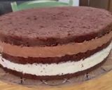 Foto del passaggio 12 della ricetta Torta mousse con cioccolato, panna e fragole