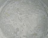Foto del paso 1 de la receta: Bizcochuelo bicolor