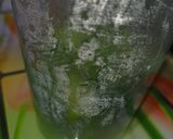 Foto del paso 2 de la receta Polenta con brócoli 🥦🥦🥦
