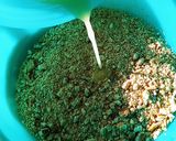 Foto del paso 6 de la receta: Nicuatole con espuma de chocolate oaxaqueño