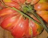 Foto del paso 1 de la receta: Ensalada de tomate 🍅