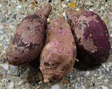 Foto del paso 1 de la receta: 🔥🍠🥃Batatas flambeadas asadas al rescoldo - Batatas caramel scotch 🥃🍠🔥