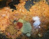 A picture of step 7 of Makki ki Roti with Palak Paneer.