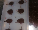 Foto del paso 11 de la receta: Bombones de chocolate "Día de Muertos" 💀 🍫