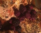 A picture of step 3 of Blackberry Basil Chicken Breast.