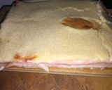 Foto del paso 7 de la receta: Torta de fiambre licuada